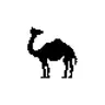 Profile picture of Sara Khalid