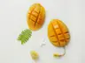 תמונת פרופיל של Insightful Mango