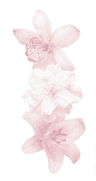 תמונת פרופיל של ☆*: .。.emilyy .。.:*☆