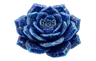 Profile picture of Lumiora