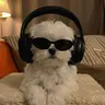 mooni님의 프로필 사진