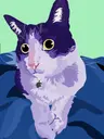 Profile picture of Xavier H