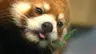 Profile picture of Kubo