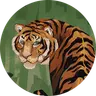 Profile picture of Asia Orlando