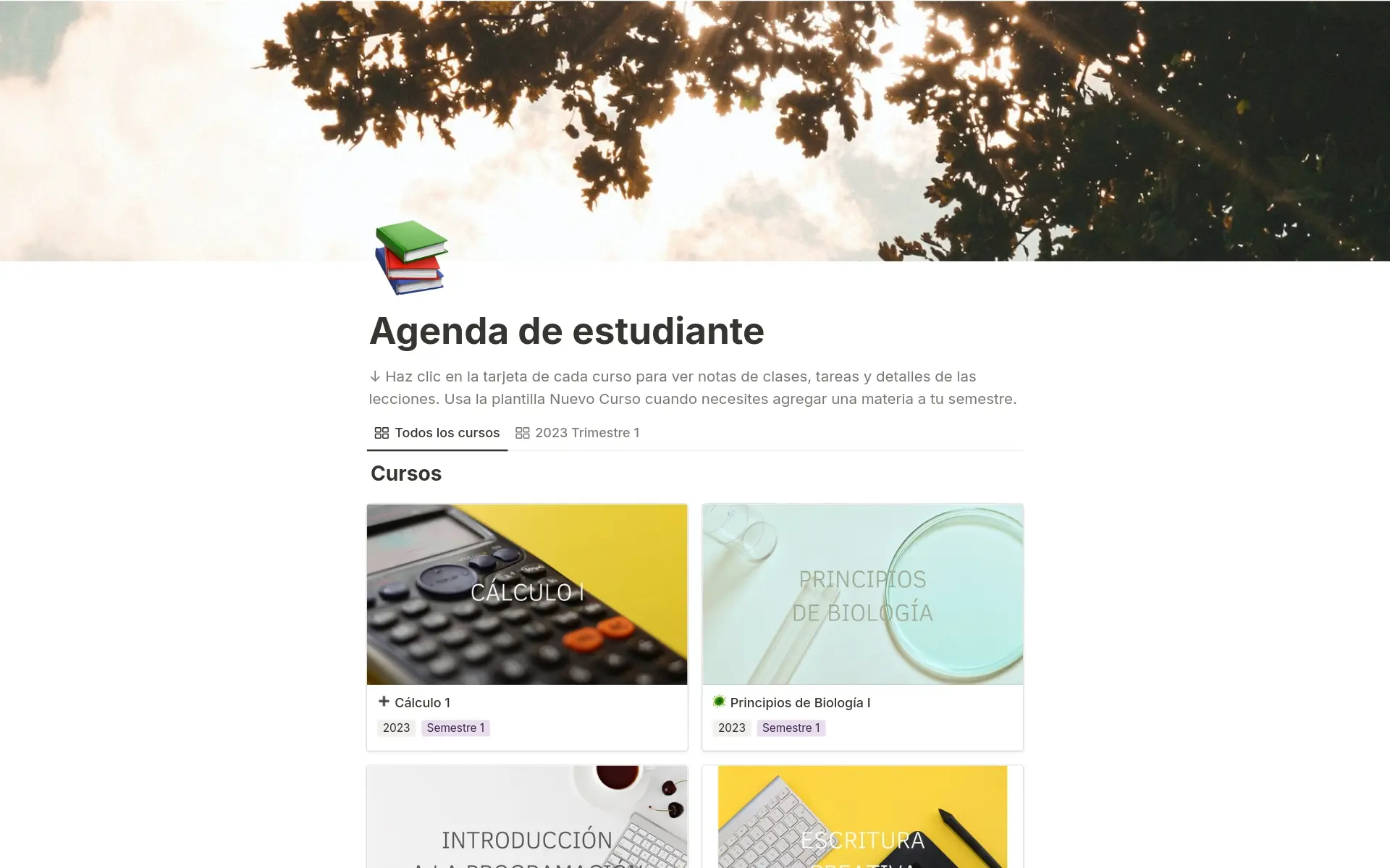 Imagen para achieve-more-this-semester